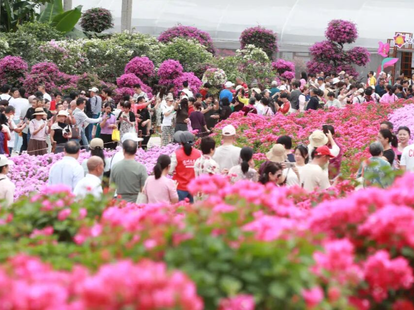深圳奋力打造民生幸福标杆城市 “民生七优”正从美好愿景变成市民日常可感可及的实景