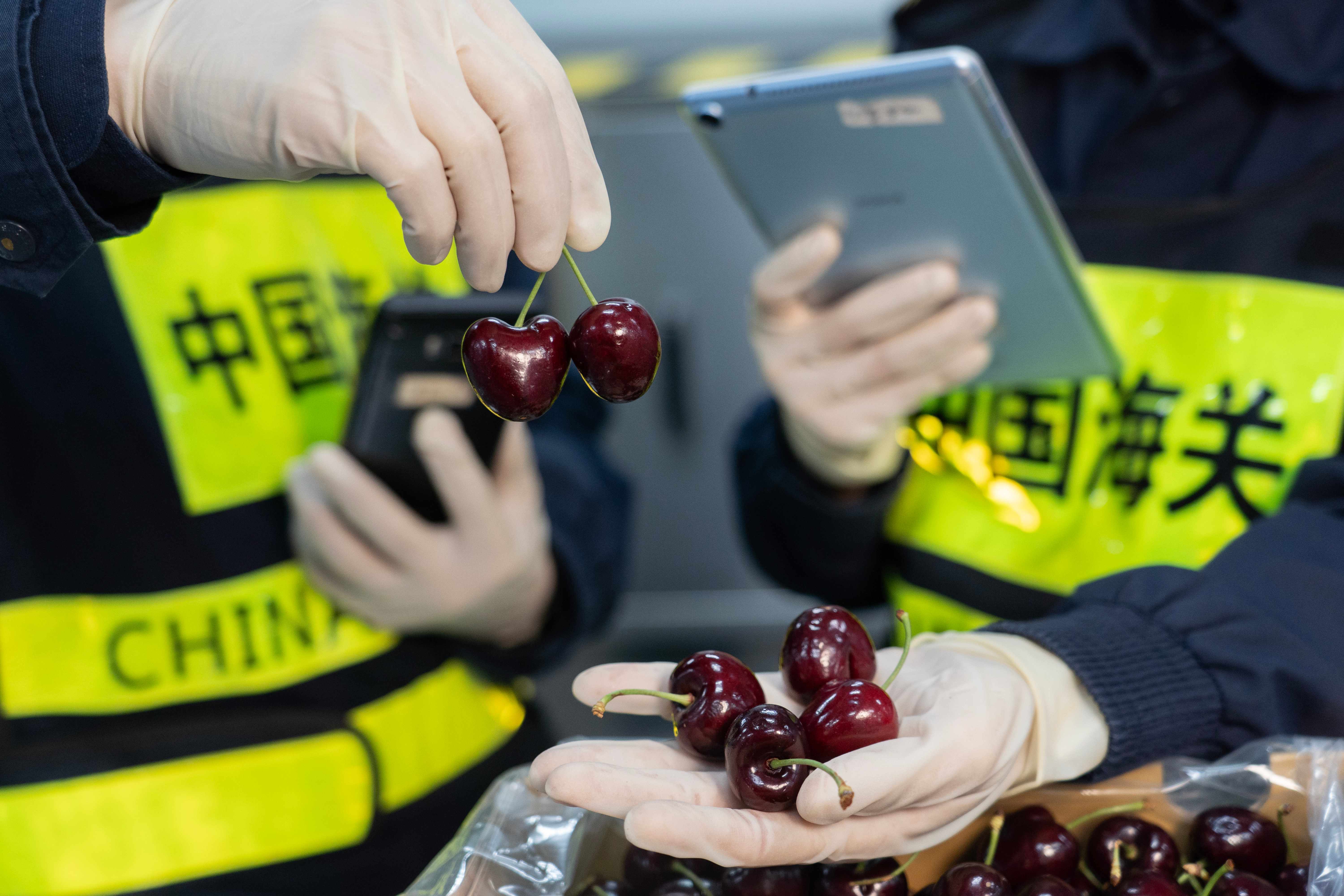 “十四五”以来广东外贸规模稳居全国首位,“广东制造”在世界各地圈粉无数