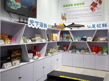 从“舌尖上的岭南”看汕尾绘就“海上新广东”鲜活图景