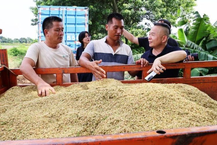 今天，文字与镜头皆为你！致敬每一份坚守和热爱