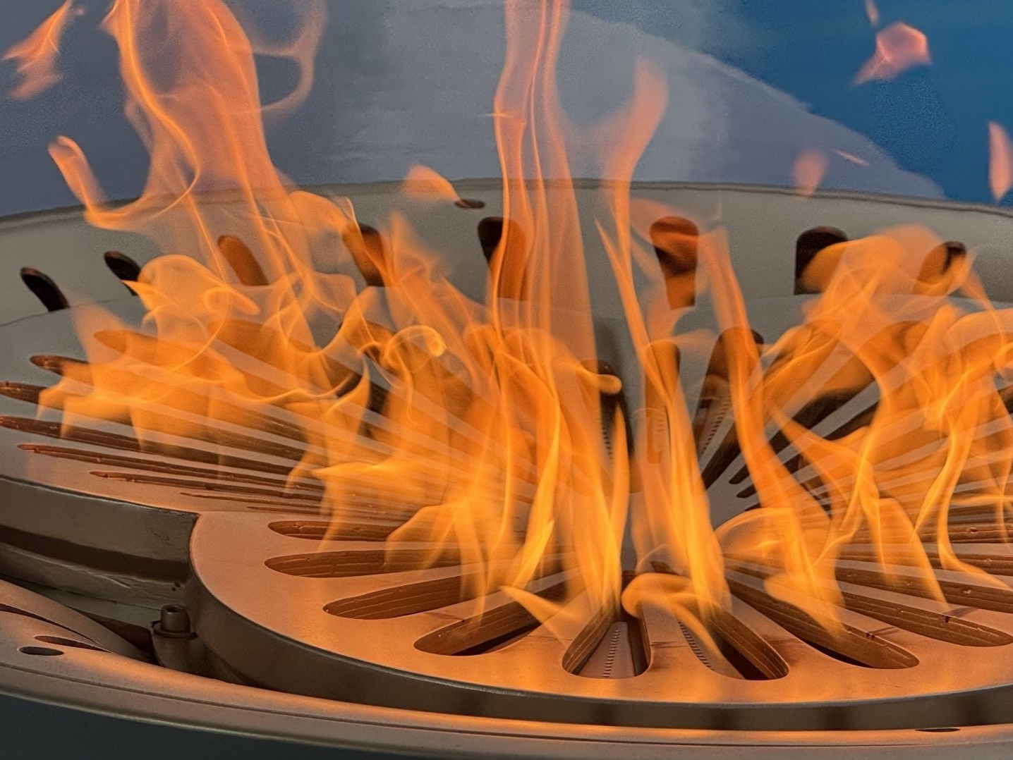 星光闪耀鹏城！十五运深圳赛区火炬手体育大咖云集