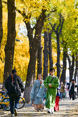 京城秋深韵悠长（5）