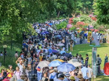 15天，125.95万人次，深圳簕杜鹃赏花周火爆收官！