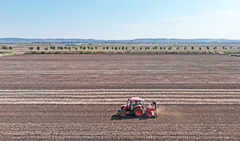 全国秋粮收获过九成 冬小麦播种过两成半（13）#