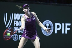 （体育）（8）网球——WTA年终总决赛：莱巴金娜夺冠