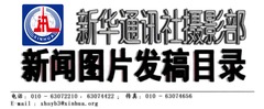 新华社摄影部2025年11月04日白班发稿目录（国际对内）