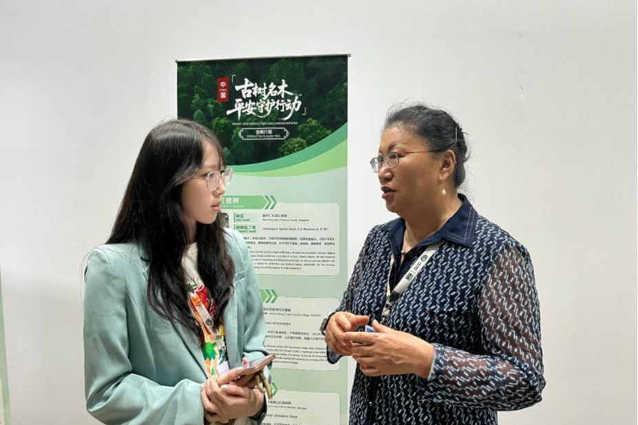 中国平安“古树名木守护行动”公益项目亮相COP30