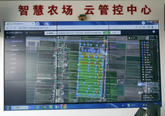 新华全媒头条·四中全会精神在基层丨锚定高质量发展，书写中部崛起新篇章（4）