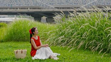 @宝安人：“空港新玩法，会展超新鲜”浪漫交友、草坪音乐会、热血拳赛……这场邂逅太会玩了