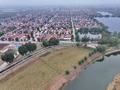 河北沧州：大运河堤顶路铺就美好生活新图景（8）