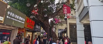 全民全运季·深情深意浓丨中英街年度客流破千万,深港融合借“十五运”东风打造消费新窗