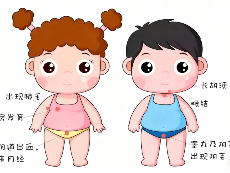 专家科普｜BMI超过这个数，娃可能提前得上“成人病”