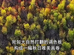 新疆塔西河国家森林公园：深秋层林尽染引客来