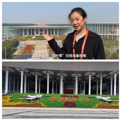 第八届进博会｜进博会倒计时 记者带你抢先探营“四叶草”