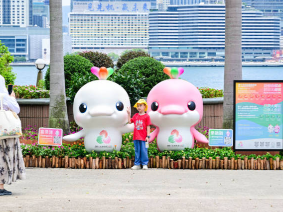 同一个湾区 同一个梦想——写在第十五届全国运动会开幕之际