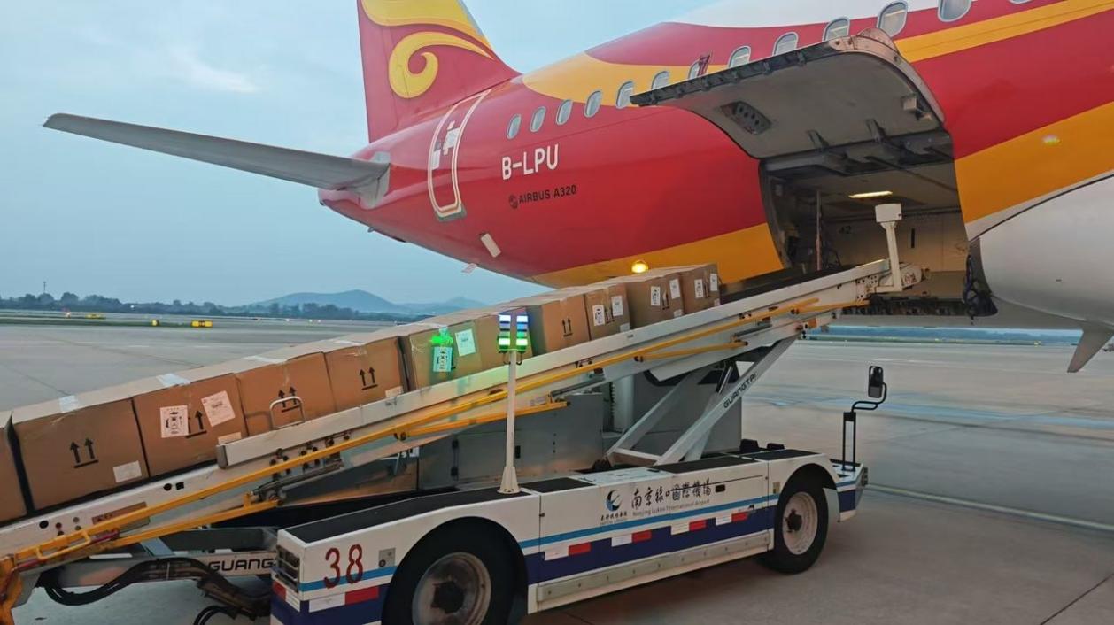 单日5000斤破抵港纪录！京东佳宝“12小时极速链”重塑香港大闸蟹体验