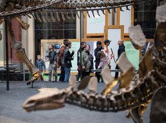 柏林：博物馆里的科学“校园”（10）