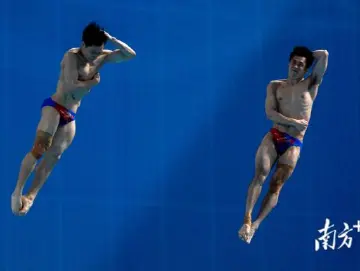 跳水男团开赛！奥运冠军谢思埸领衔出战