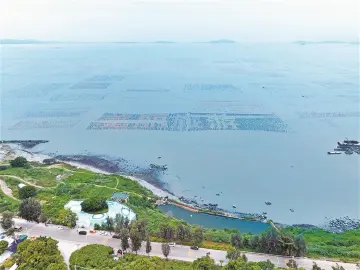 记者手记：彩虹海上，生蚝“点绿成金”丨“海上新广东”融媒调研行·汕头站