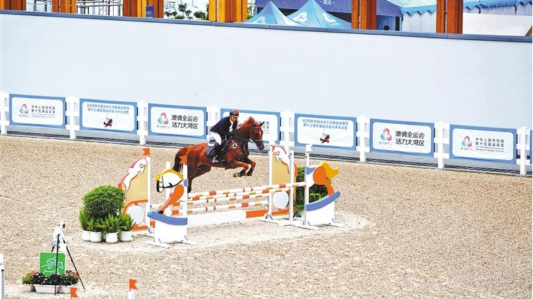 十五运会马术比赛今日在光明开赛