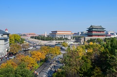 京城秋深韵悠长（2）