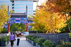 京城秋深韵悠长（3）