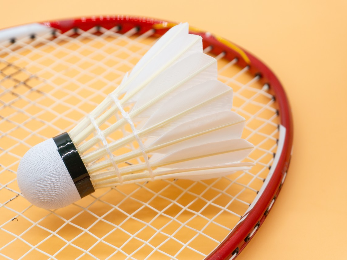 十五运羽毛球项目前瞻:老将回归,奥运明星对决看点多