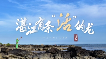 粤来粤好百千万｜湛江有条“活”的龙