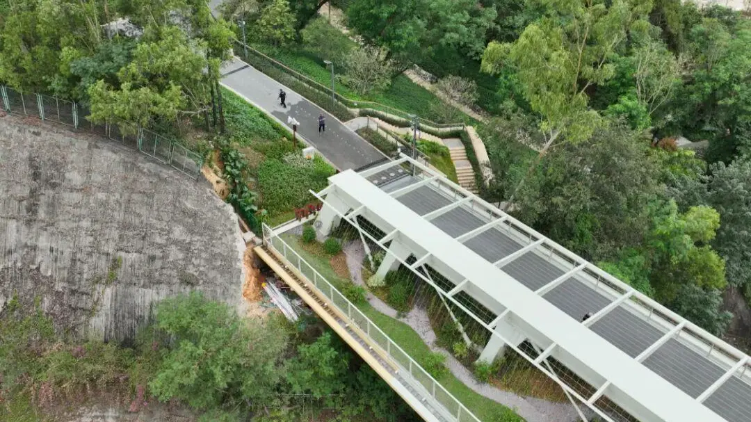 “为小动物开道！” 央视关注深圳山海连城鲲鹏径两座生态廊桥→