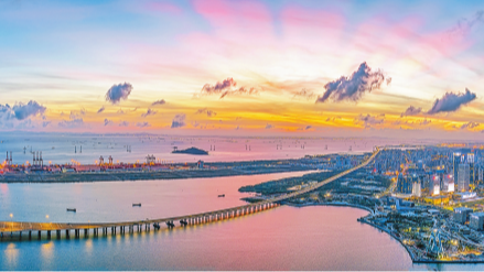 全国群先单位表彰 宝安“双星闪耀”