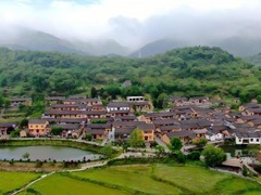 学习进行时丨习近平总书记关心推动老区发展振兴的故事