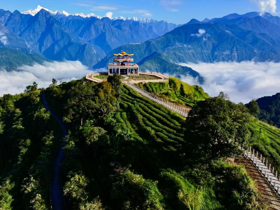 第二次青藏科考发布十大应用成果 揭示环境转型新认知