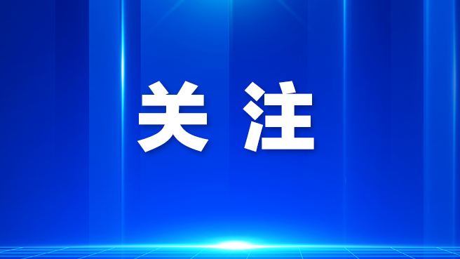 暖心!萌娃遗落电话手表,光明公交司机及时寻回