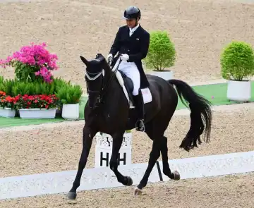 十五运会马术项目盛装舞步个人赛决赛举行 刘涛夺冠