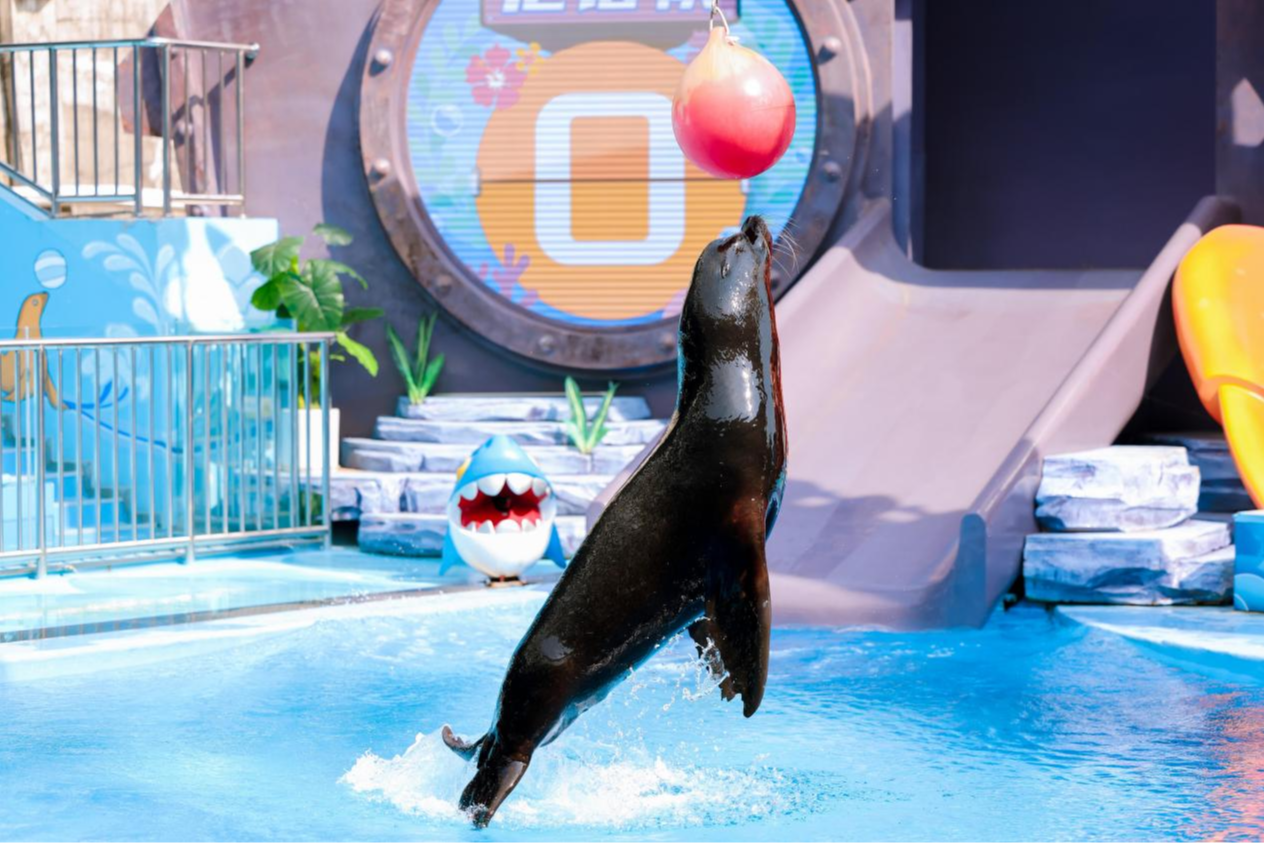 免票45天！深圳小梅沙推出专项福利迎接十五运