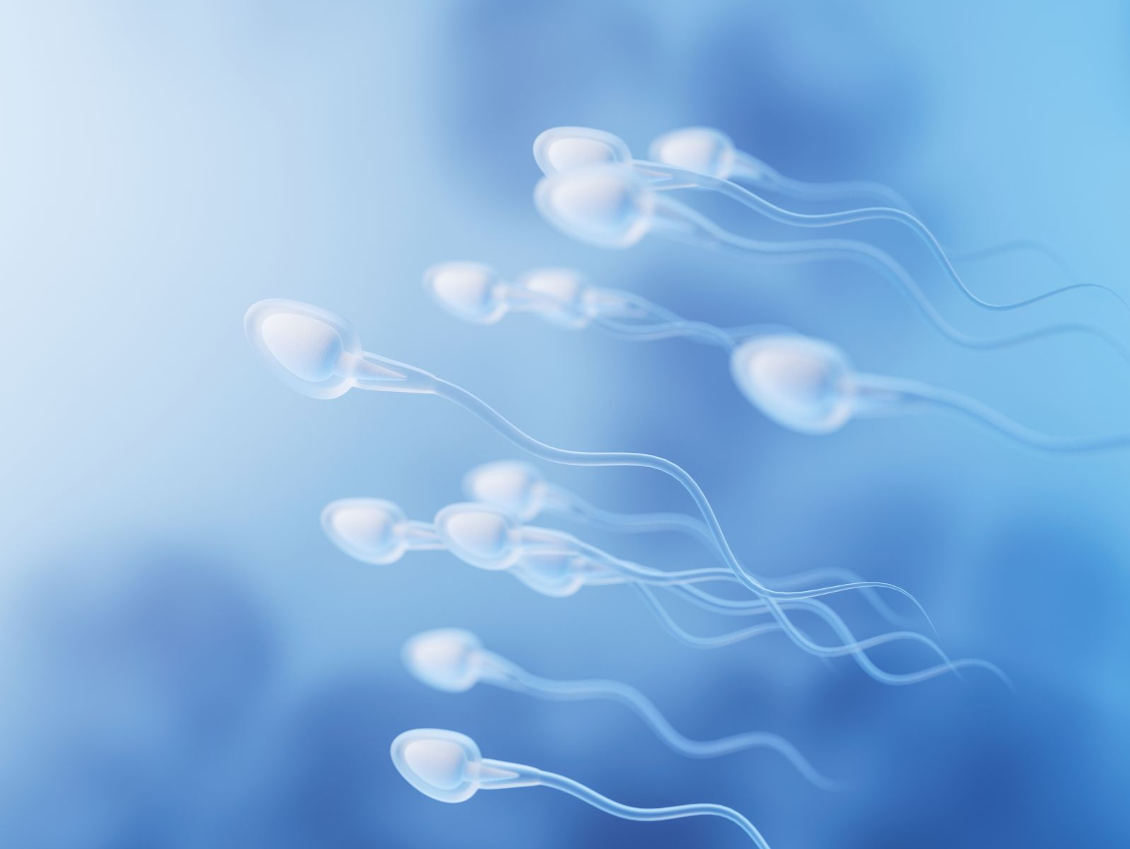 专家科普｜“小蝌蚪”什么颜色才算正常？ 