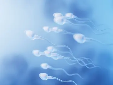 专家科普|“小蝌蚪”什么颜色才算正常?