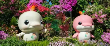 全民全运季·深情深意浓丨从边陲小渔村到国际大都市，深圳用开放与创新，在一张白纸上完美演绎互利共赢