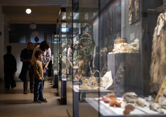 柏林：博物馆里的科学“校园”（4）