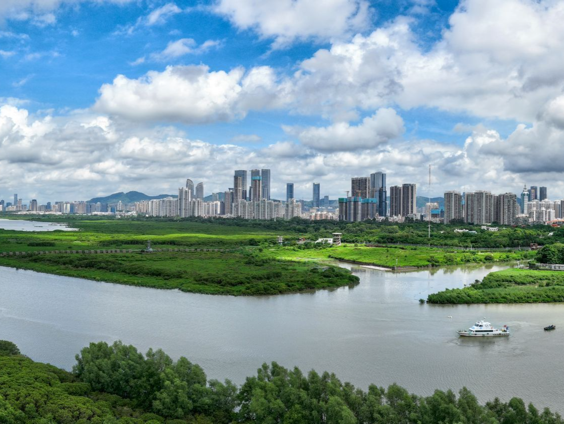 深圳纵深推进涉企执法专项监督 持续擦亮营商环境“金字招牌”