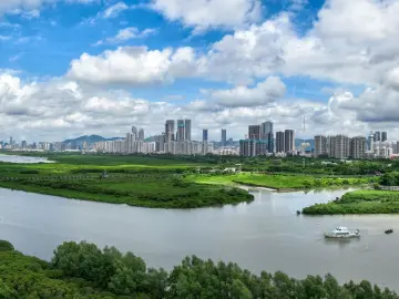 打造“民生七优”幸福标杆——十论学习贯彻党的二十届四中全会精神