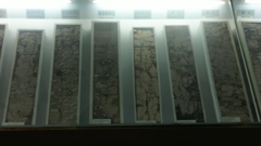 校馆弦歌｜在西北农林科技大学博览园 感知农林科技的奇特魅力