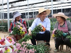 菊香四溢背后的产业升级