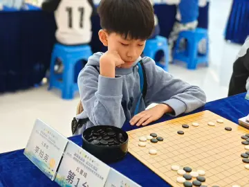 4个月鏖战终见分晓!2025深圳市业余围棋棋王赛落幕