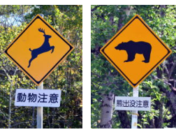 日本多地发生熊袭击致人死伤事件，我使馆紧急提醒 