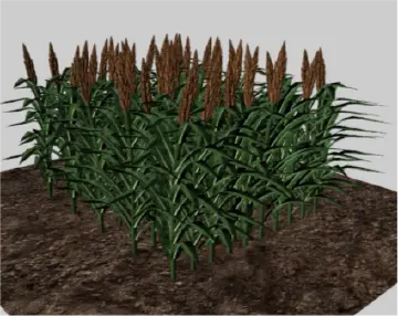 2025年，在深圳，AI种地真的来了！