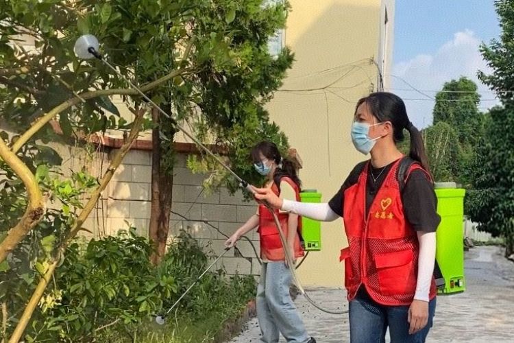 中山沙溪巾帼力量灭蚊记