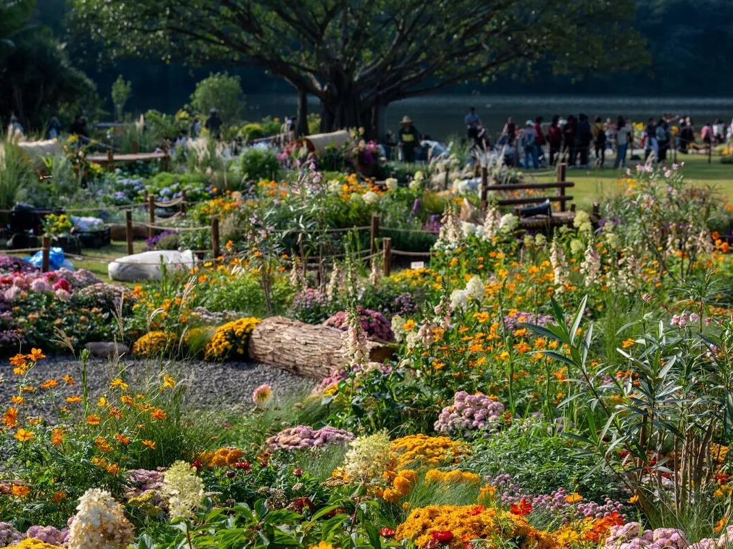 美丽深圳·每日一图｜2025年11月18日