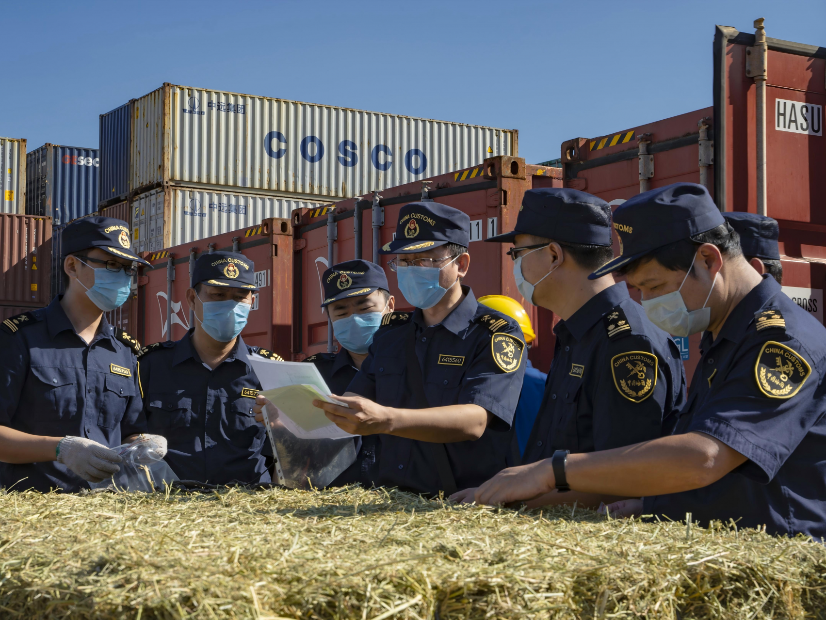 海口海关直属机关党委：大力实施“三创一建”党建引领工程，决战决胜海南自贸港封关运作