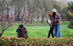 初冬京郊：斑斓画卷徐徐展开（4）